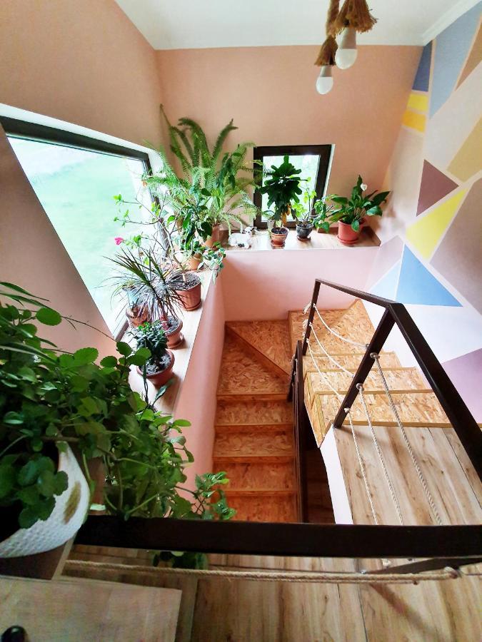 ---Allegria House--- Kazbegi Luaran gambar