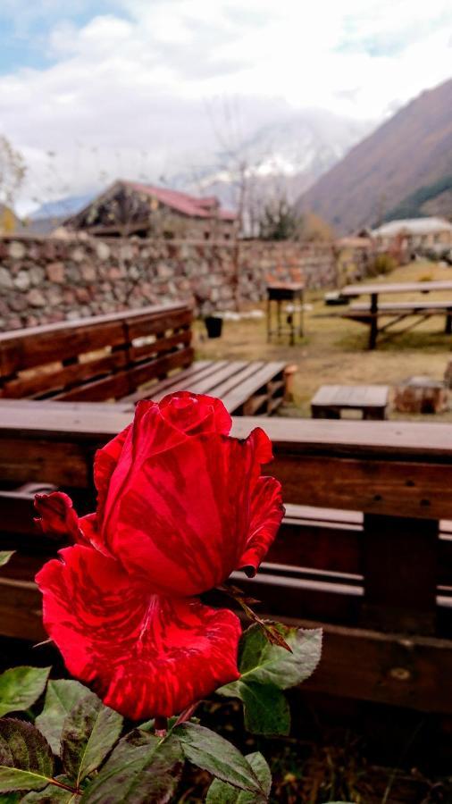 ---Allegria House--- Kazbegi Luaran gambar