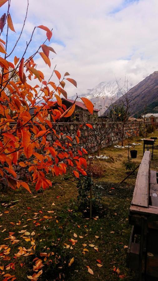 ---Allegria House--- Kazbegi Luaran gambar