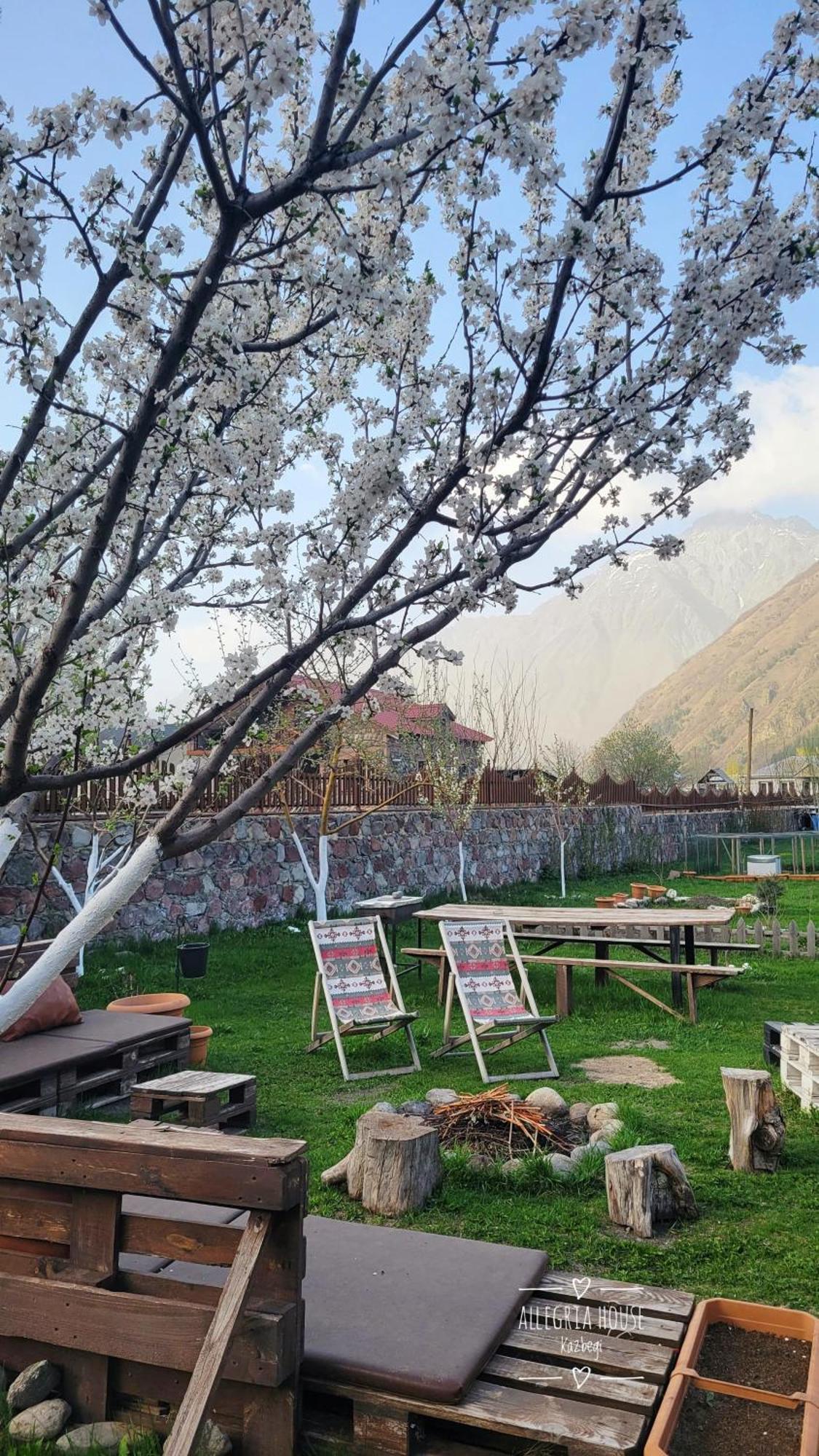 ---Allegria House--- Kazbegi Luaran gambar